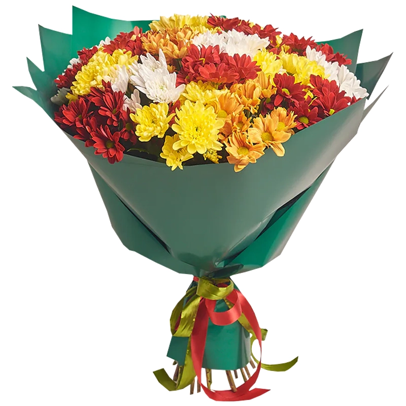 Букет из 25 кустовых цветных хризантем