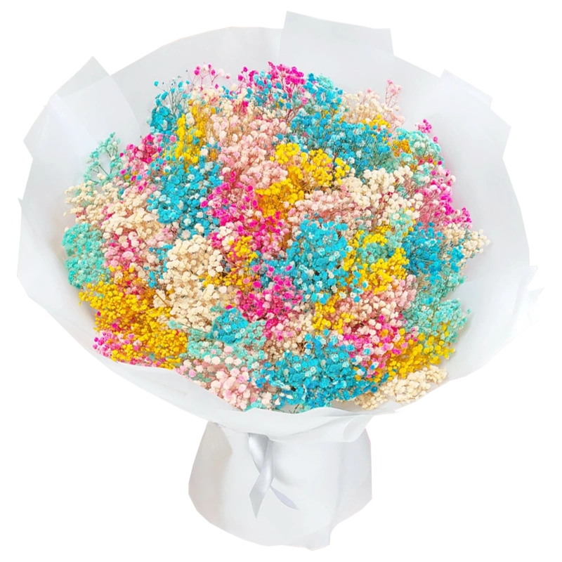 Букет из 51 разноцветной гипсофилы