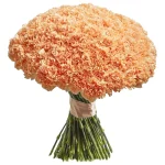 Гвоздики кремовые